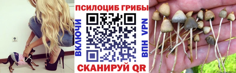 Галлюциногенные грибы Magic Shrooms  Глазов 